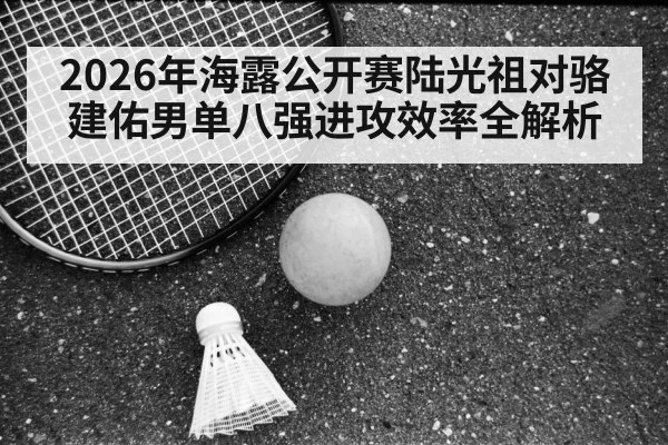 badminton match net play